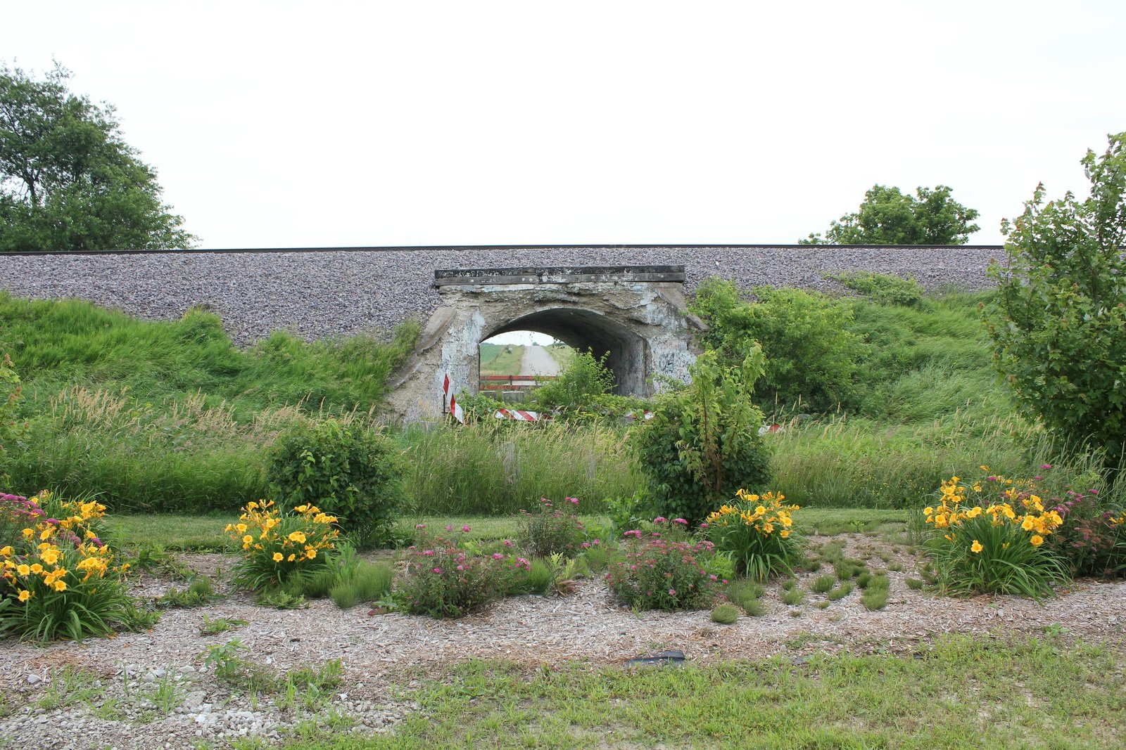 Overview